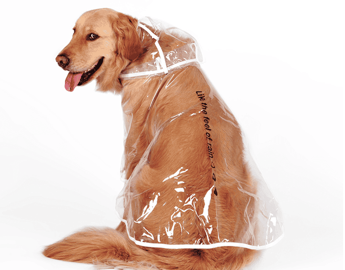 Waterproof Raincoat for Medium- sized Dogs