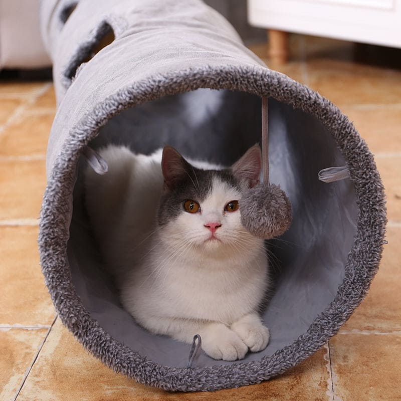 Long Tunnel For Cats