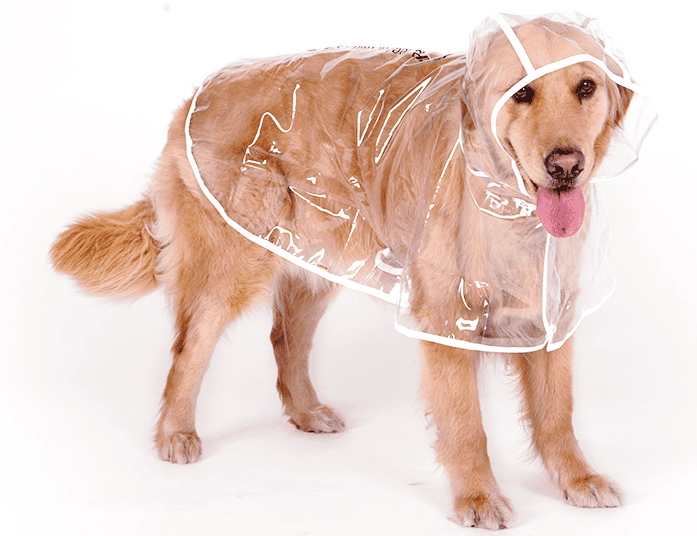 Waterproof Raincoat for Medium- sized Dogs