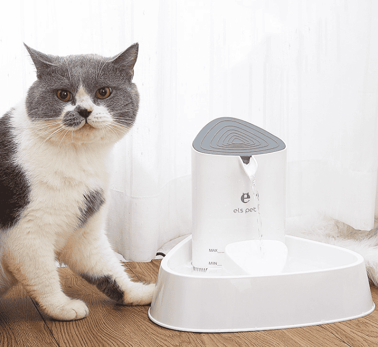 Pet dog water dispenser cat water dispenser