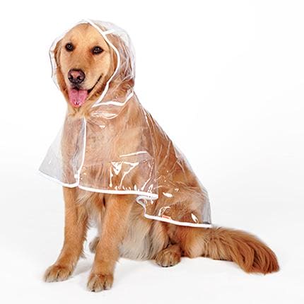 Waterproof Raincoat for Medium- sized Dogs