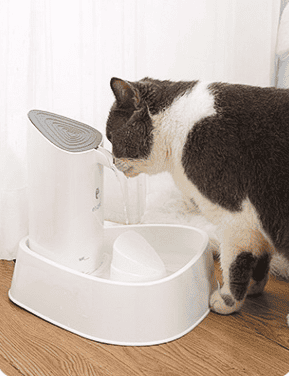 Pet dog water dispenser cat water dispenser