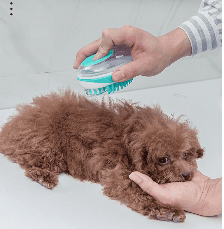 Pet Massage Brush