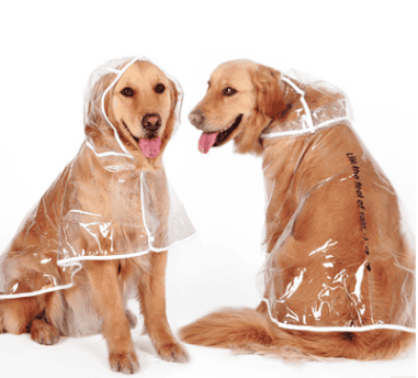 Waterproof Raincoat for Medium- sized Dogs