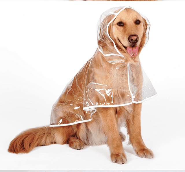 Waterproof Raincoat for Medium- sized Dogs