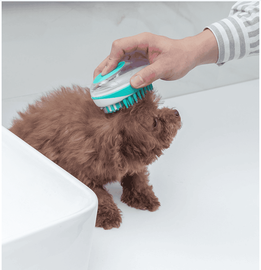 Pet Massage Brush